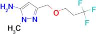 1-methyl-3-[(3,3,3-trifluoropropoxy)methyl]-1H-pyrazol-5-amine