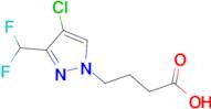 4-[4-Chloro-3-(difluoromethyl)-1H-pyrazol-1-yl]butyric acid