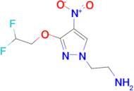 2-[3-(2,2-difluoroethoxy)-4-nitro-1H-pyrazol-1-yl]ethanamine