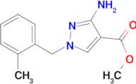 methyl 3-amino-1-(2-methylbenzyl)-1H-pyrazole-4-carboxylate