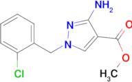 methyl 3-amino-1-(2-chlorobenzyl)-1H-pyrazole-4-carboxylate