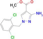 methyl 3-amino-1-(2,6-dichlorobenzyl)-1H-pyrazole-4-carboxylate