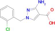 3-amino-1-(2-chlorobenzyl)-1H-pyrazole-4-carboxylic acid