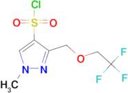 1-methyl-3-[(2,2,2-trifluoroethoxy)methyl]-1H-pyrazole-4-sulfonyl chloride