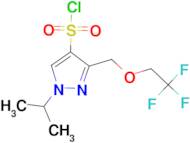 1-isopropyl-3-[(2,2,2-trifluoroethoxy)methyl]-1H-pyrazole-4-sulfonyl chloride