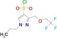 1-propyl-3-[(2,2,2-trifluoroethoxy)methyl]-1H-pyrazole-4-sulfonyl chloride