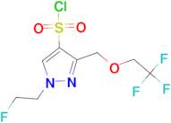 1-(2-fluoroethyl)-3-[(2,2,2-trifluoroethoxy)methyl]-1H-pyrazole-4-sulfonyl chloride