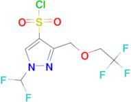 1-(Difluoromethyl)-3-[(2,2,2-trifluoroethoxy)methyl]-1H-pyrazole-4-sulfonyl chloride