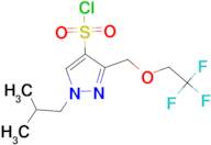 1-isobutyl-3-[(2,2,2-trifluoroethoxy)methyl]-1H-pyrazole-4-sulfonyl chloride