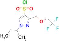 1-sec-butyl-3-[(2,2,2-trifluoroethoxy)methyl]-1H-pyrazole-4-sulfonyl chloride