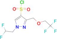 1-(2,2-difluoroethyl)-3-[(2,2,2-trifluoroethoxy)methyl]-1H-pyrazole-4-sulfonyl chloride