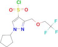 1-cyclopentyl-3-[(2,2,2-trifluoroethoxy)methyl]-1H-pyrazole-4-sulfonyl chloride