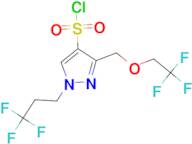 3-[(2,2,2-trifluoroethoxy)methyl]-1-(3,3,3-trifluoropropyl)-1H-pyrazole-4-sulfonyl chloride