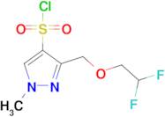 3-[(2,2-difluoroethoxy)methyl]-1-methyl-1H-pyrazole-4-sulfonyl chloride