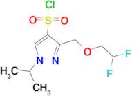 3-[(2,2-difluoroethoxy)methyl]-1-isopropyl-1H-pyrazole-4-sulfonyl chloride