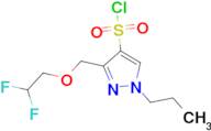 3-[(2,2-difluoroethoxy)methyl]-1-propyl-1H-pyrazole-4-sulfonyl chloride