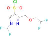 3-[(2,2-Difluoroethoxy)methyl]-1-(difluoromethyl)-1H-pyrazole-4-sulfonyl chloride