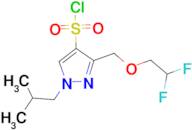 3-[(2,2-difluoroethoxy)methyl]-1-isobutyl-1H-pyrazole-4-sulfonyl chloride