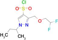 1-sec-butyl-3-[(2,2-difluoroethoxy)methyl]-1H-pyrazole-4-sulfonyl chloride