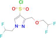 3-[(2,2-difluoroethoxy)methyl]-1-(2,2-difluoroethyl)-1H-pyrazole-4-sulfonyl chloride