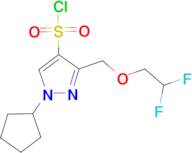 1-cyclopentyl-3-[(2,2-difluoroethoxy)methyl]-1H-pyrazole-4-sulfonyl chloride