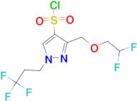 3-[(2,2-difluoroethoxy)methyl]-1-(3,3,3-trifluoropropyl)-1H-pyrazole-4-sulfonyl chloride