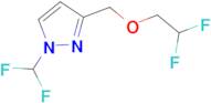 3-[(2,2-Difluoroethoxy)methyl]-1-(difluoromethyl)-1H-pyrazole