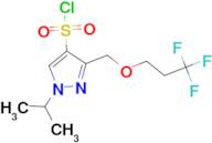 1-isopropyl-3-[(3,3,3-trifluoropropoxy)methyl]-1H-pyrazole-4-sulfonyl chloride