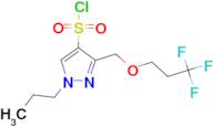 1-propyl-3-[(3,3,3-trifluoropropoxy)methyl]-1H-pyrazole-4-sulfonyl chloride