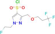 1-(2-fluoroethyl)-3-[(3,3,3-trifluoropropoxy)methyl]-1H-pyrazole-4-sulfonyl chloride