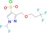 1-(Difluoromethyl)-3-[(3,3,3-trifluoropropoxy)methyl]-1H-pyrazole-4-sulfonyl chloride