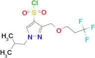 1-isobutyl-3-[(3,3,3-trifluoropropoxy)methyl]-1H-pyrazole-4-sulfonyl chloride