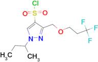 1-sec-butyl-3-[(3,3,3-trifluoropropoxy)methyl]-1H-pyrazole-4-sulfonyl chloride