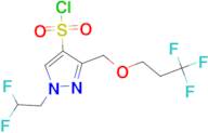 1-(2,2-difluoroethyl)-3-[(3,3,3-trifluoropropoxy)methyl]-1H-pyrazole-4-sulfonyl chloride