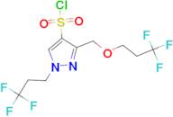 3-[(3,3,3-trifluoropropoxy)methyl]-1-(3,3,3-trifluoropropyl)-1H-pyrazole-4-sulfonyl chloride