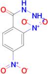 2,4-dinitrobenzohydrazide