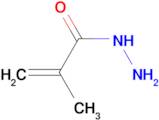 2-methylprop-2-enehydrazide