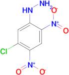 (5-chloro-2,4-dinitrophenyl)hydrazine