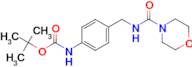 (4-{[(Morpholine-4-carbonyl)-amino]-methyl}-phenyl)-carbamic acid tert-butyl ester