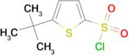 5-tert-Butyl-thiophene-2-sulfonyl chloride