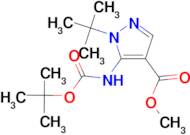 5-tert-Butoxycarbonylamino-1-tert-butyl-1H-pyrazole-4-carboxylic acid methyl ester