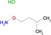 O-(3-Methyl-butyl)-hydroxylamine; hydrochloride