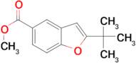 2-tert-Butyl-benzofuran-5-carboxylic acid methyl ester