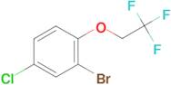 2-Bromo-4-chloro-1-(2,2,2-trifluoro-ethoxy)-benzene