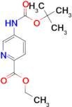 5-tert-Butoxycarbonylamino-pyridine-2-carboxylic acid ethyl ester