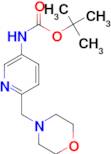 (6-Morpholin-4-ylmethyl-pyridin-3-yl)-carbamic acid tert-butyl ester