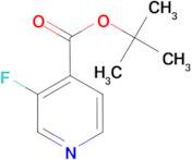 3-Fluoro-isonicotinic acid tert-butyl ester