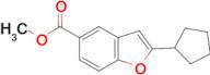 2-Cyclopentyl-benzofuran-5-carboxylic acid methyl ester