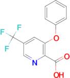 3-Phenoxy-5-trifluoromethyl-pyridine-2-carboxylic acid