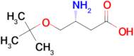 (R)-3-Amino-4-(tert-butoxy)butanoic acid